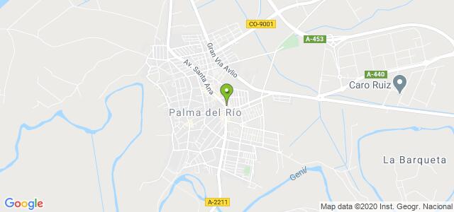 mapa de instituto nacional de la seguridad social palma del rio