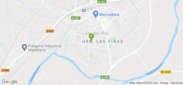 mapa de instituto nacional de la seguridad social lora del rio