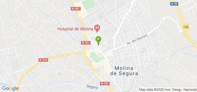 mapa de instituto nacional de la seguridad social molina de segura